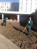 Préparation du terrain du patio par les jardiniers en formation
